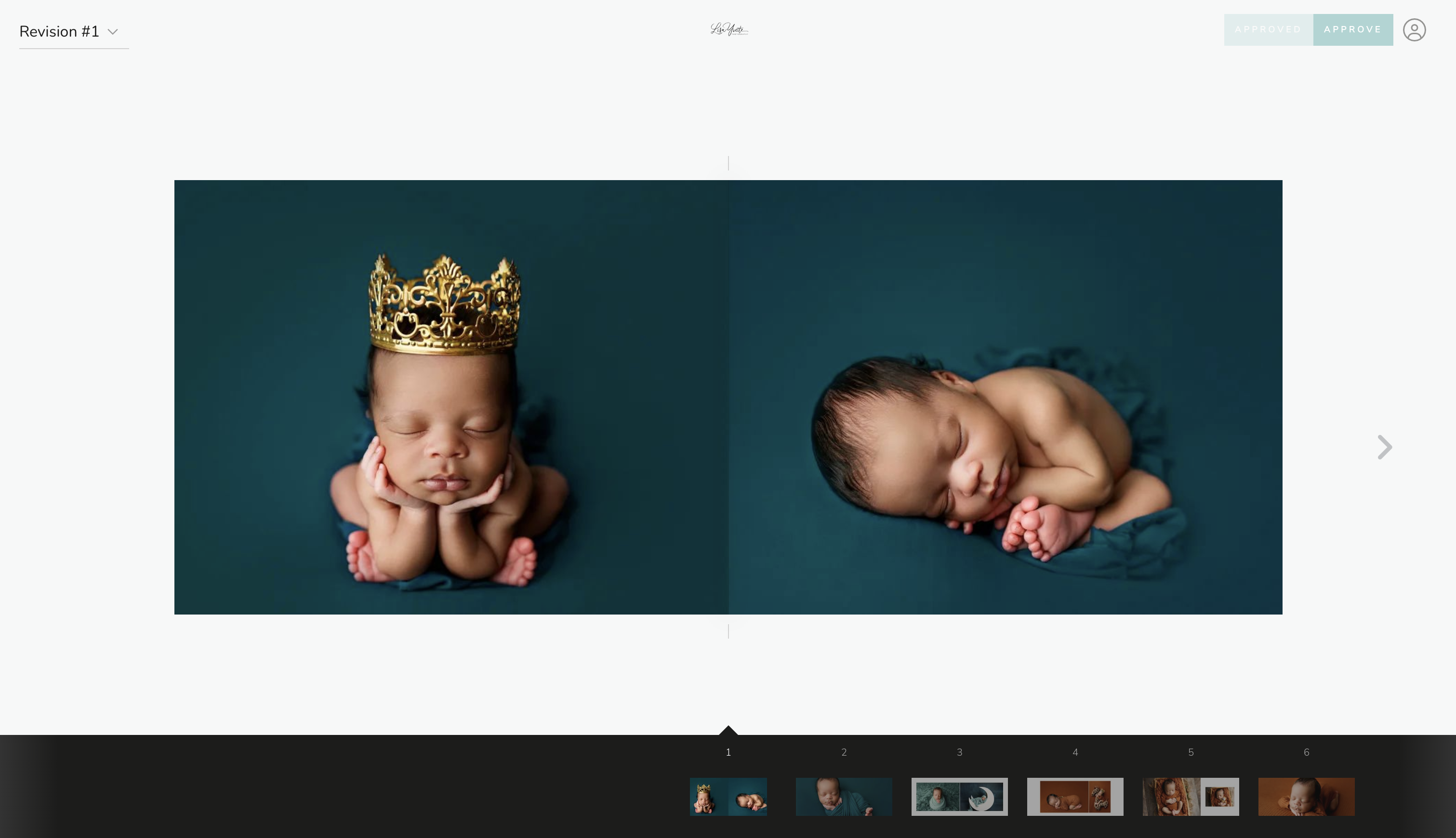 New Born Photography Album Proofing Example